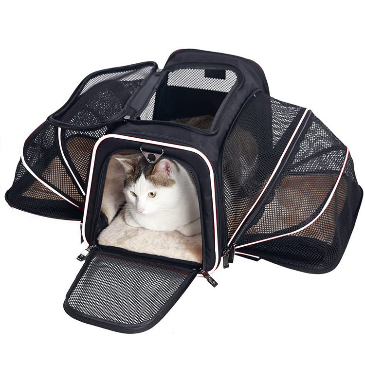 Maskeyon Airline Approved Pet Carrier, Large Soft Sided Pet Travel TSA Carrier 4 Sides Expandable Cat Collapsible Carrier with Removable Fleece Pad and Pockets for Cats Dogs and Small Animals